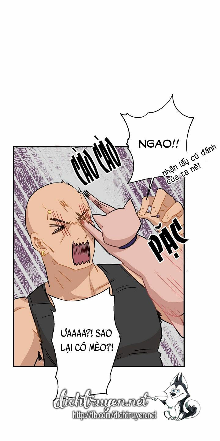 cuộc sống kỳ thú chapter 26 28