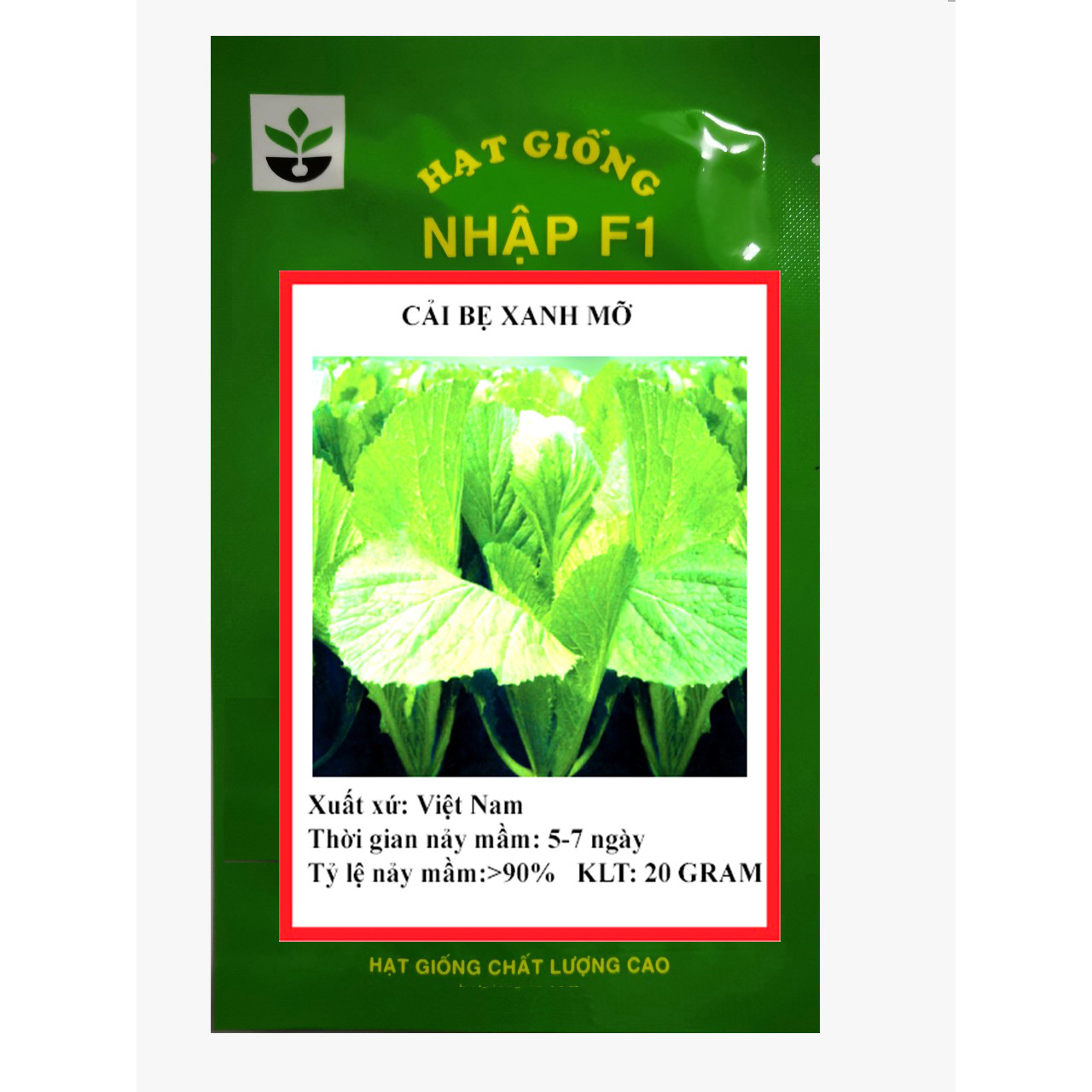 Gói 20 gram hạt giống cải bẹ xanh