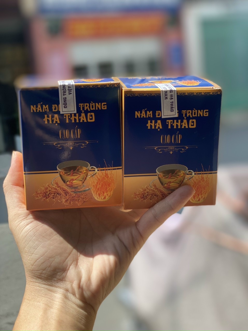 NẤM ĐÔNG TRÙNG HẠ THẢO SẤY KHÔ NGUYÊN CHẤT