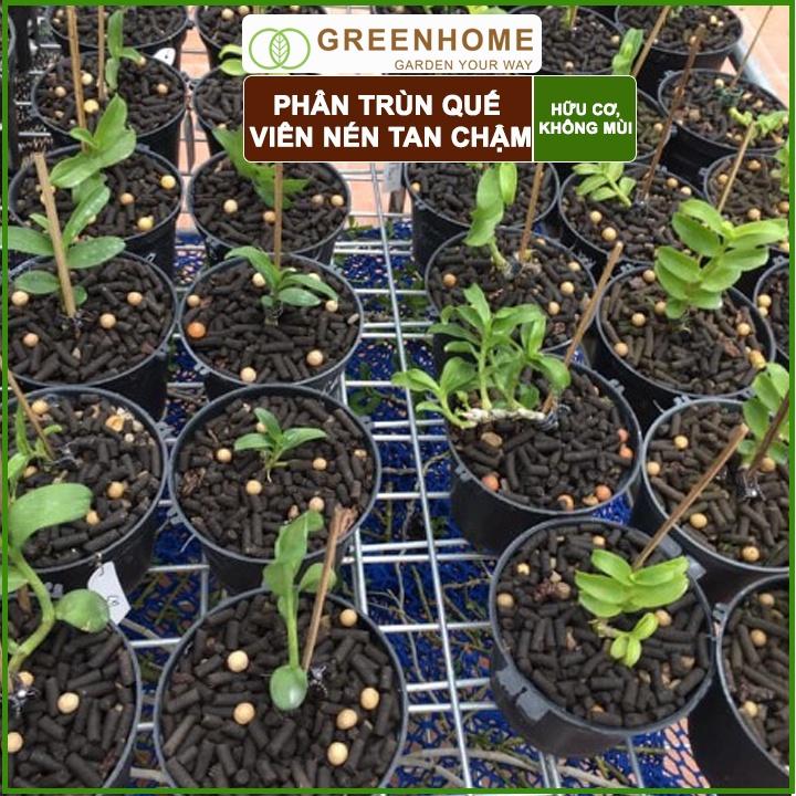 Phân Trùn Quế Viên Nén Sfarm 1kg- Phân trùn quế bón Lan, Hoa, Cây cảnh, Bonsai nguyên chất 100%