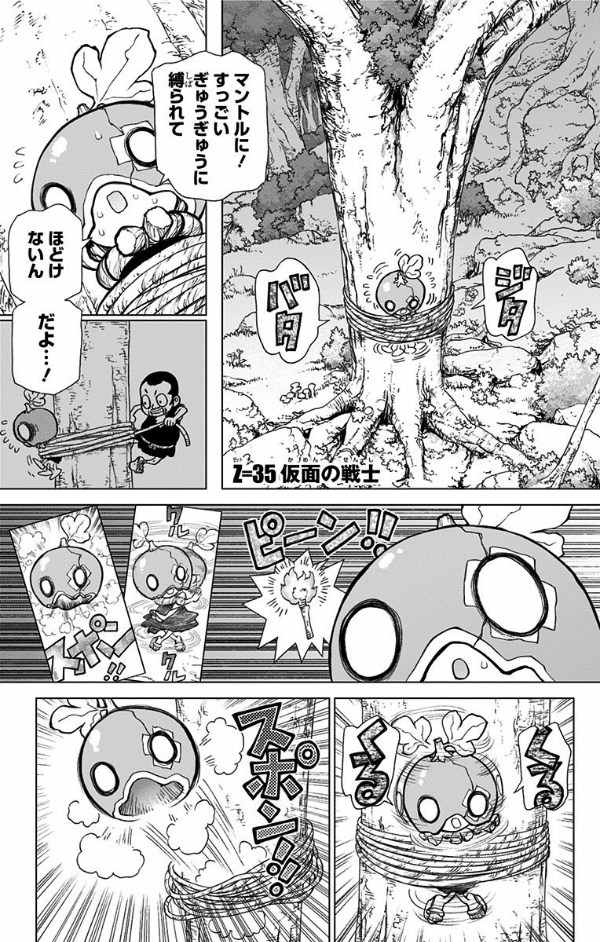 Ｄｒ．ＳＴＯＮＥ　　　５ DR.STONE 5