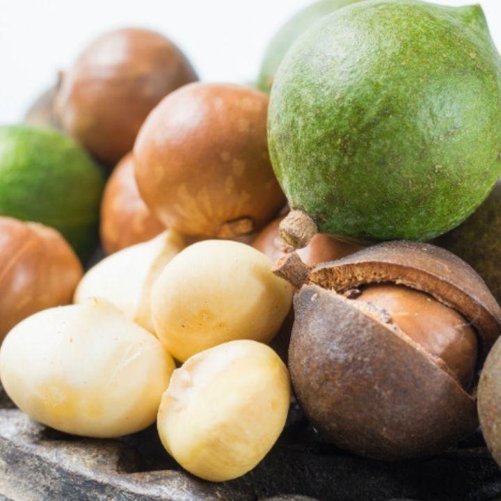 Nhân macca Úc - dạng hũ | Foodcity