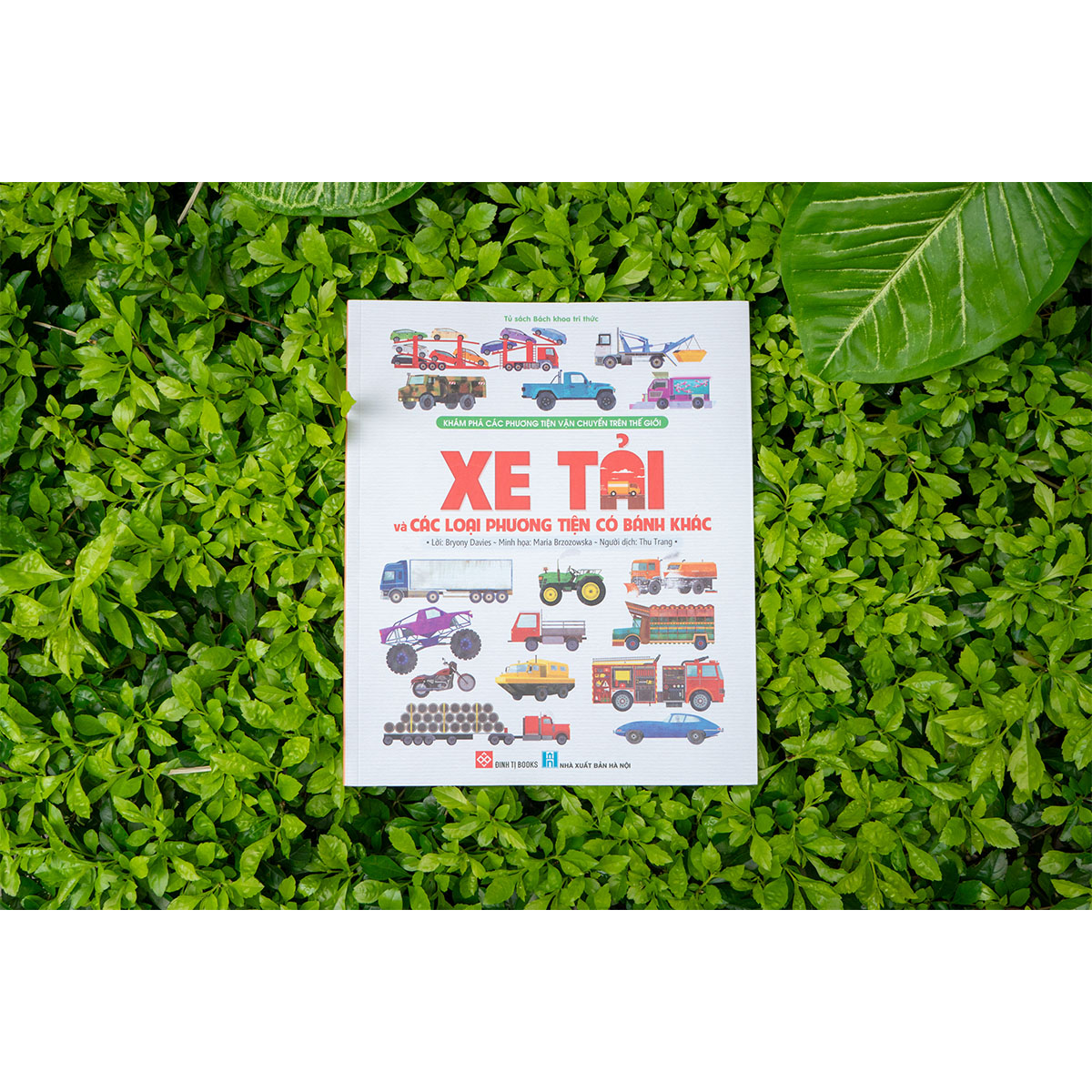 Khám phá các phương tiện vận chuyển trên thế giới - Xe tải và các loại phương tiện có bánh khác