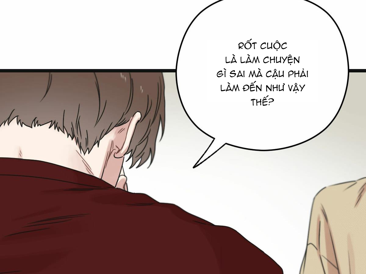 tương phùng chapter 13 201