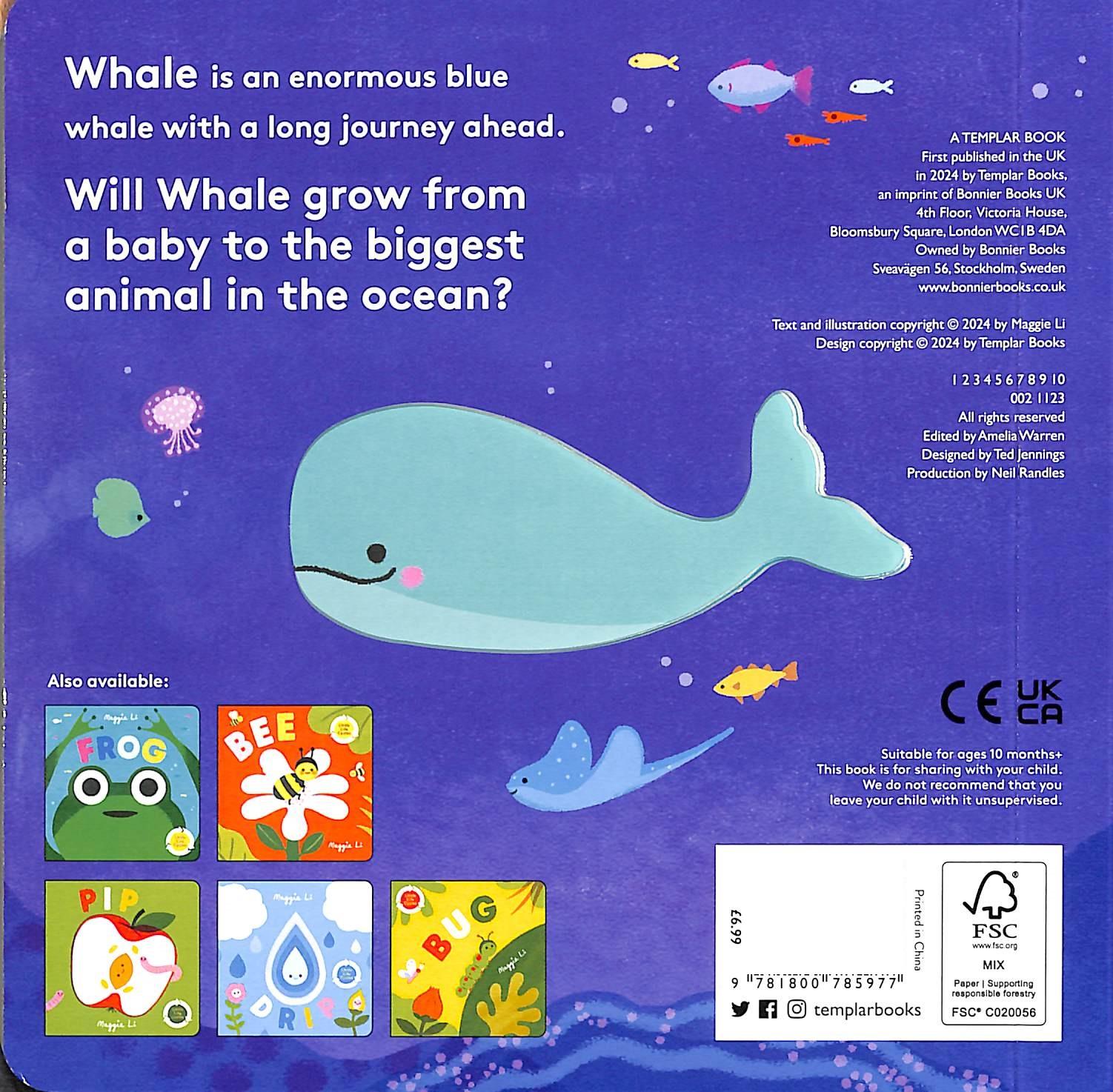 Sách ngoại văn: Little Life Cycles - Whale