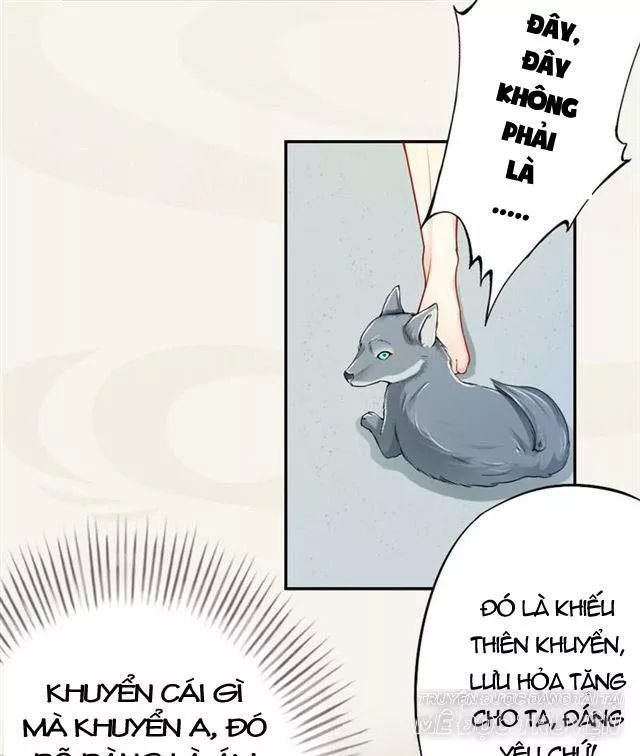 tuyệt thế luyện đan sư chapter 17 26