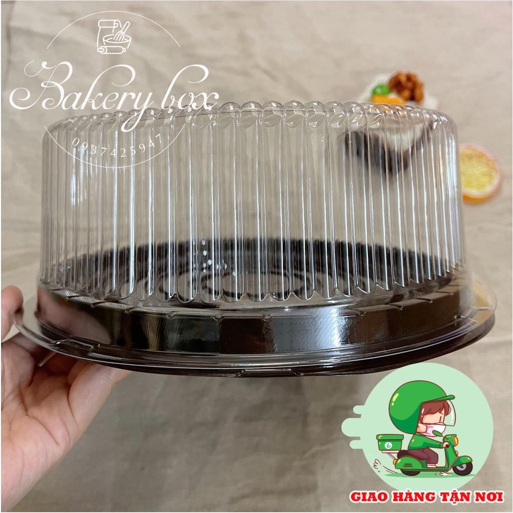 20 Hộp A024 Đựng Bánh Size 20cm Bông Lan Trứng Muối - Tiramisu
