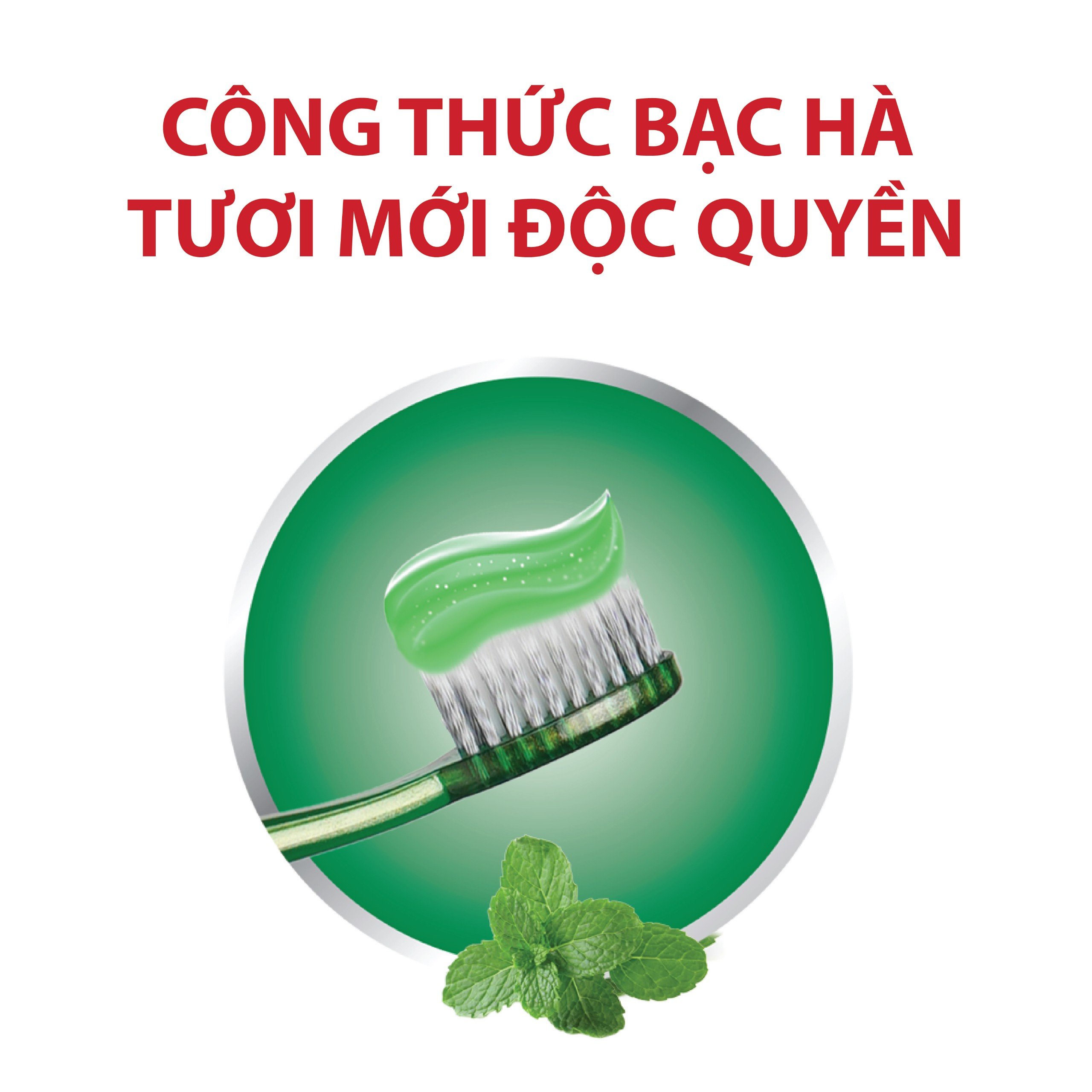 Kem Đánh Răng Lipzo 12 Giờ Rạng Ngời 185g Bảo Vệ Răng Khỏi Vi Khuẩn Gây Sâu Răng Và  Hôi Miệng