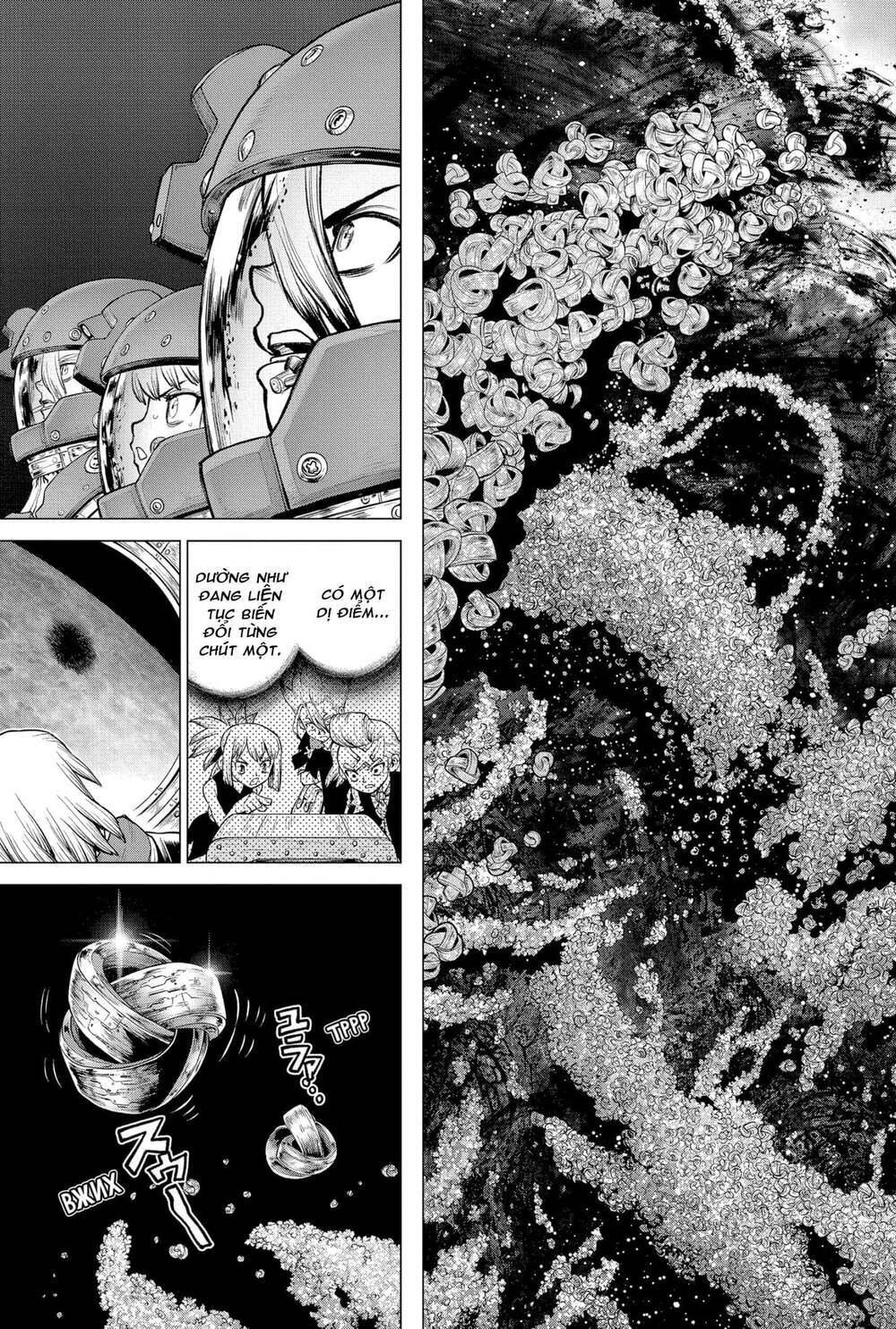 dr.stone - hồi sinh thế giới chapter 228 4
