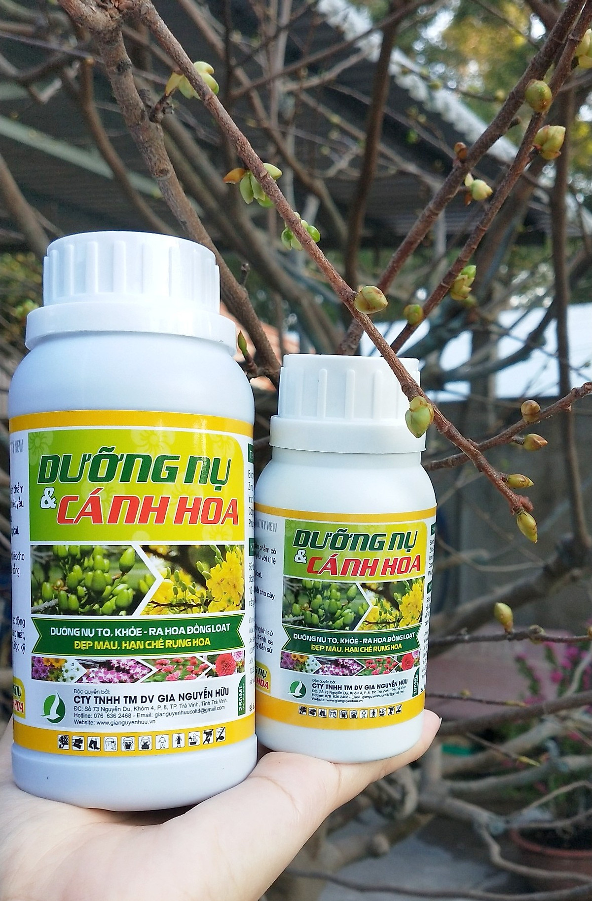 DƯỠNG NỤ CÁNH HOA - 100ML