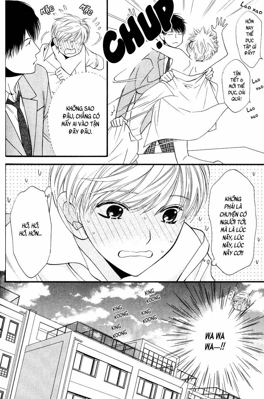 neko neko honey chapter 10 20