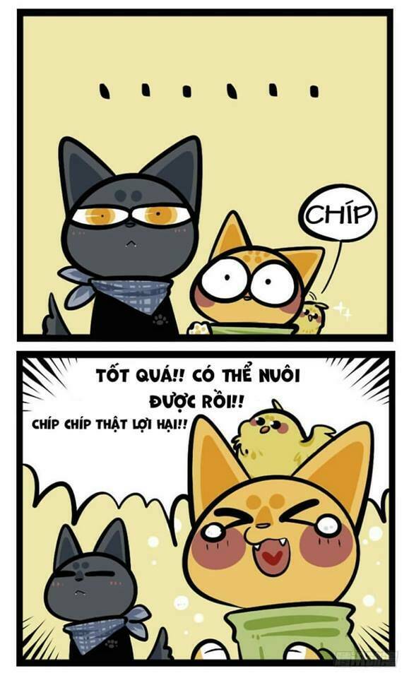 đời không như mình tưởng chapter 38 7