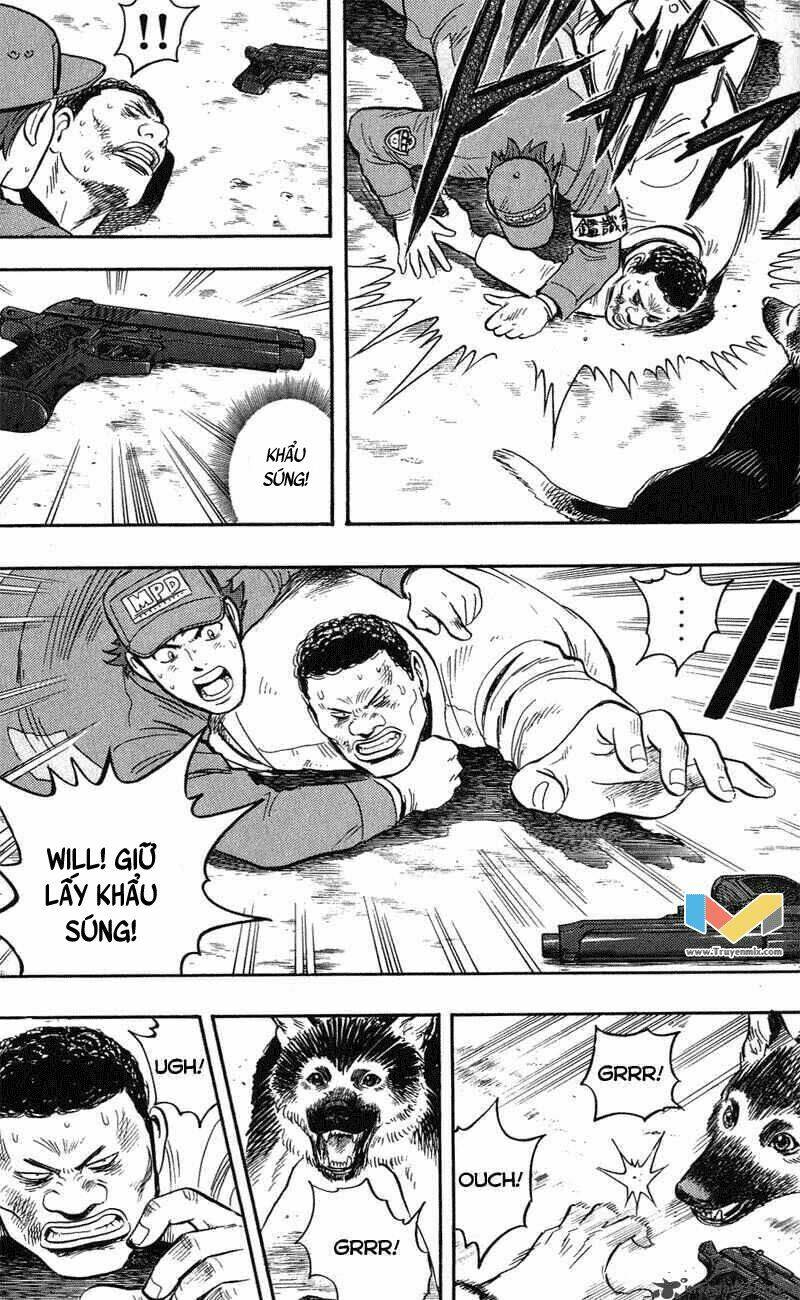 animal sense chapter 13 7