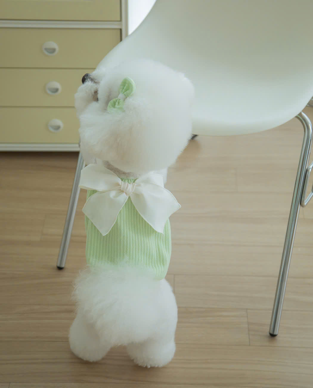VÁY XANH LÁ NƠ XINH TỪ 1-7KG DÀNH CHO CHÓ MÈO