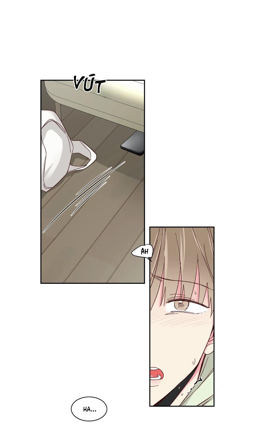 món tráng miệng của sếp tổng chapter 57 2