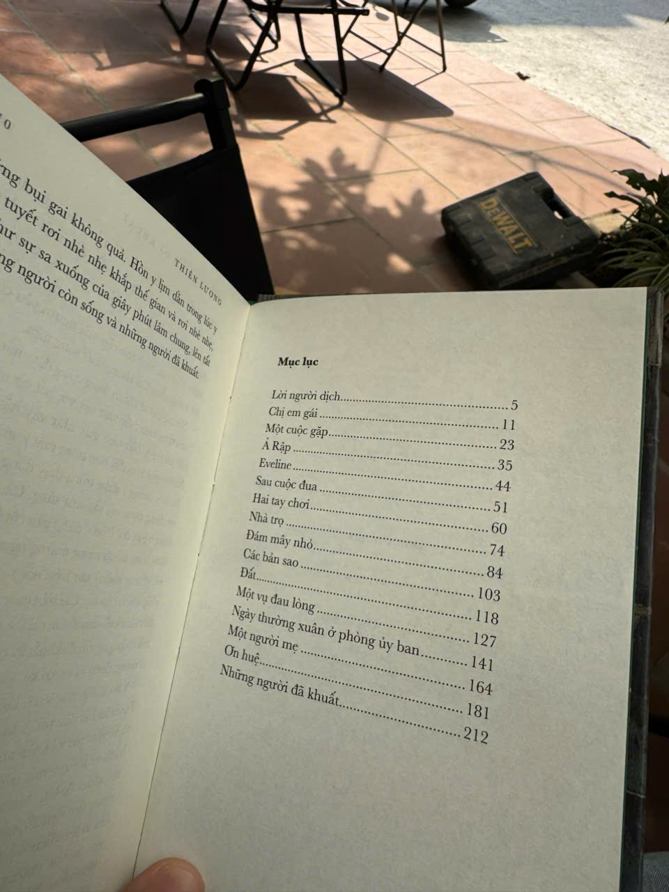 (Bìa cứng) DÂN DUBLIN – James Joyce – Thiên Lương dịch – NXB Văn Học