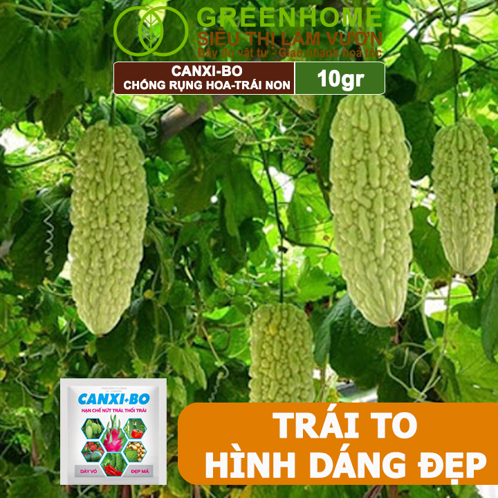 Phân Bón Canxi Bo Greenhome, Viên 10Gr, Tăng Đậu Trái, Chống Rụng Hoa Và Trái Non, Chống Thối Trái