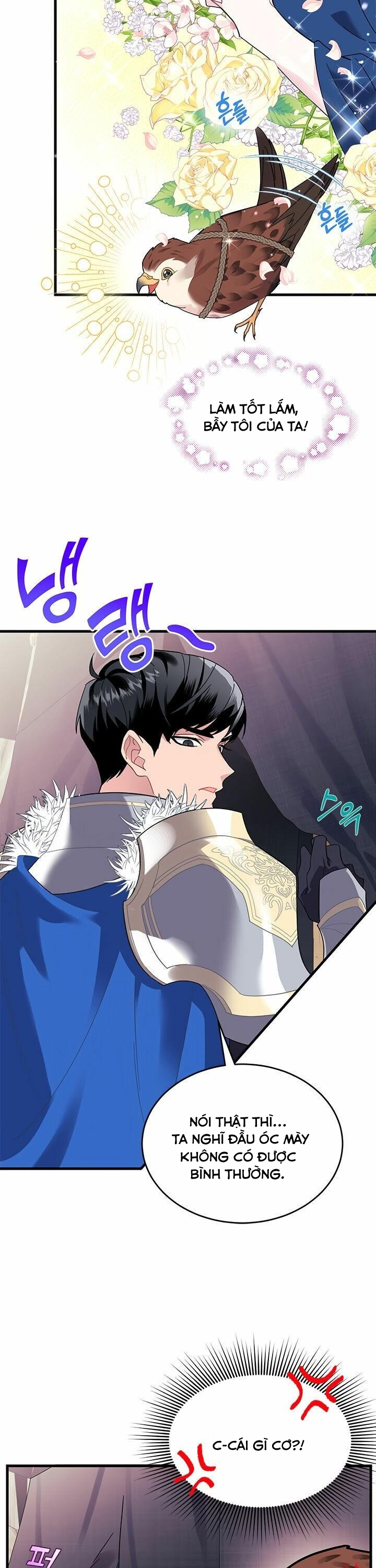 công chúa chim ưng cavier chapter 4 7