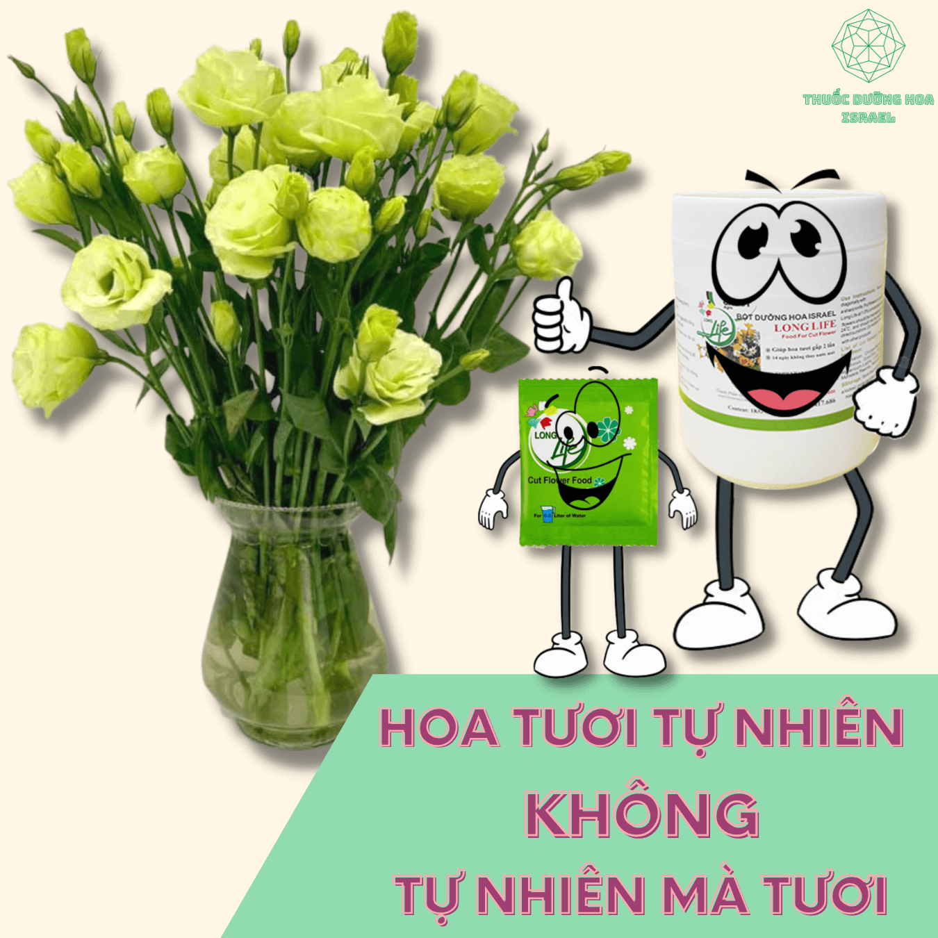 Thuốc Chăm Sóc Hoa tươi Cắm Xốp Lâu Tàn tại shop hoa Longlife SG của Israel giúp hoa tươi gấp 2 lần và hạn chế thay hoa định kỳ, hoa cắm lẵng tươi lâu