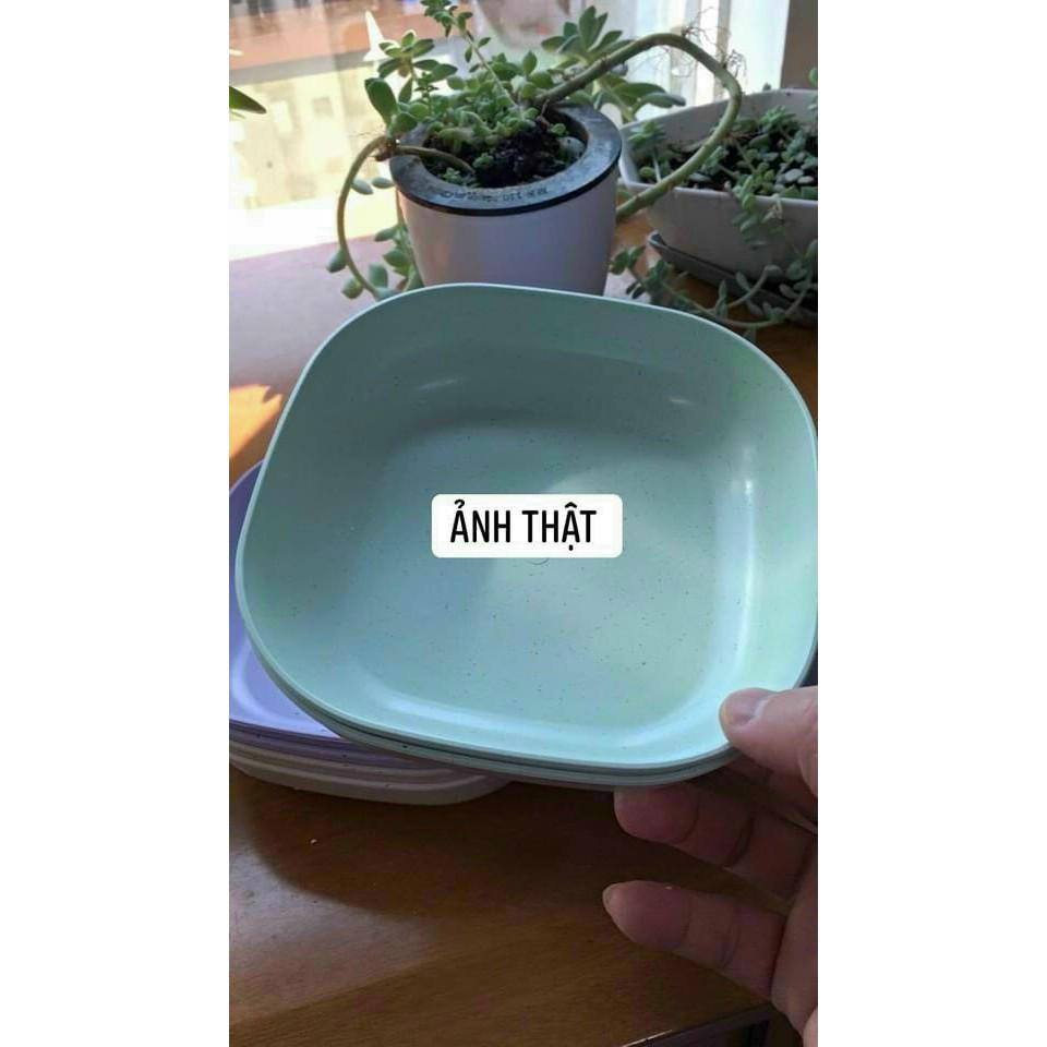 SÉT 8 ĐĨA LÚA MẠCH CHỮ NHẬT MÀU PASTAL SIÊU XINH
