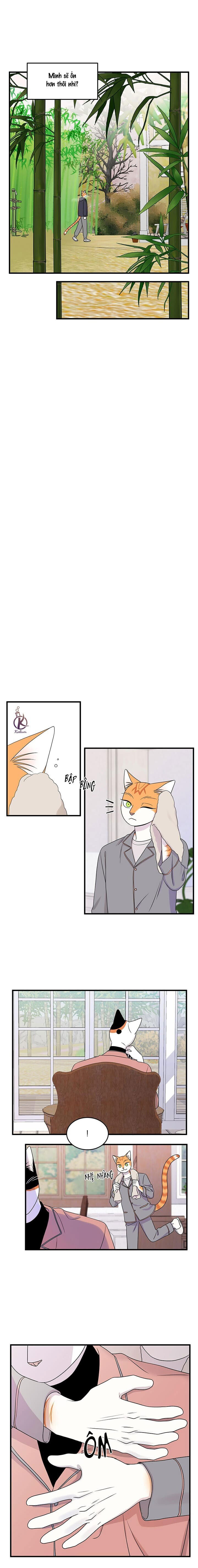 dự án xanh chapter 52 7