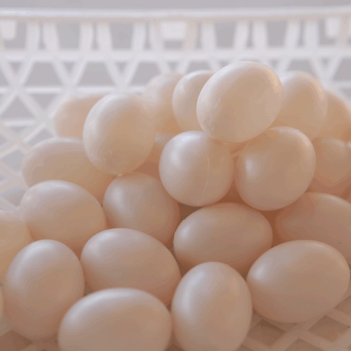 Trứng Bồ câu giả , trứng nước vỏ nhựa