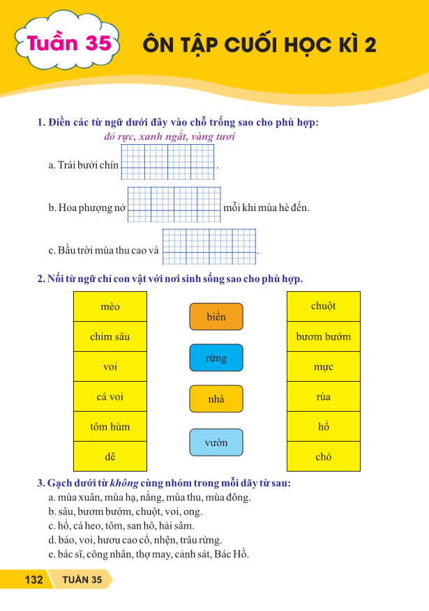 Sách - Vở Bài Tập Nâng Cao Từ Và Câu Lớp 2 - Biên Soạn Theo Chương Trình GDPT Mới - Kết Nối - ndbooks