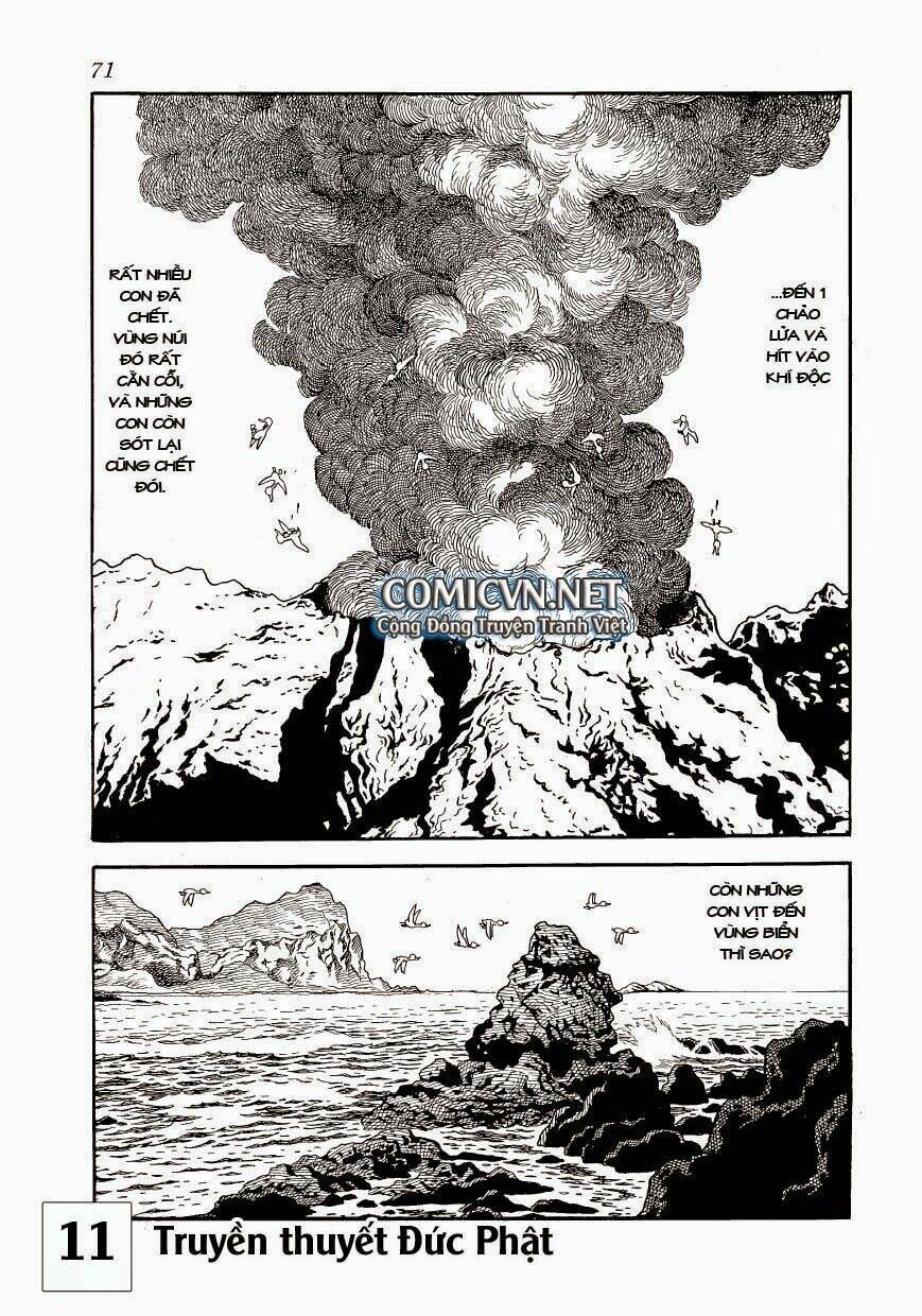 buddha - truyền thuyết đức phật chapter 51 6