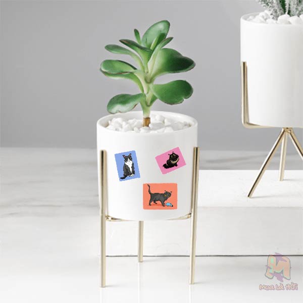 Miếng dán Stickers In Hình Mèo