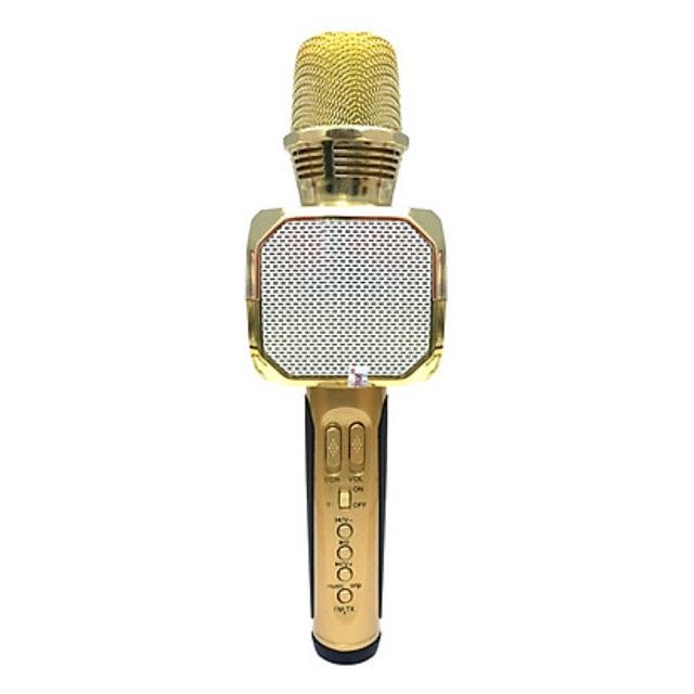 Mích hát karaoke cao cấp 2020sd10