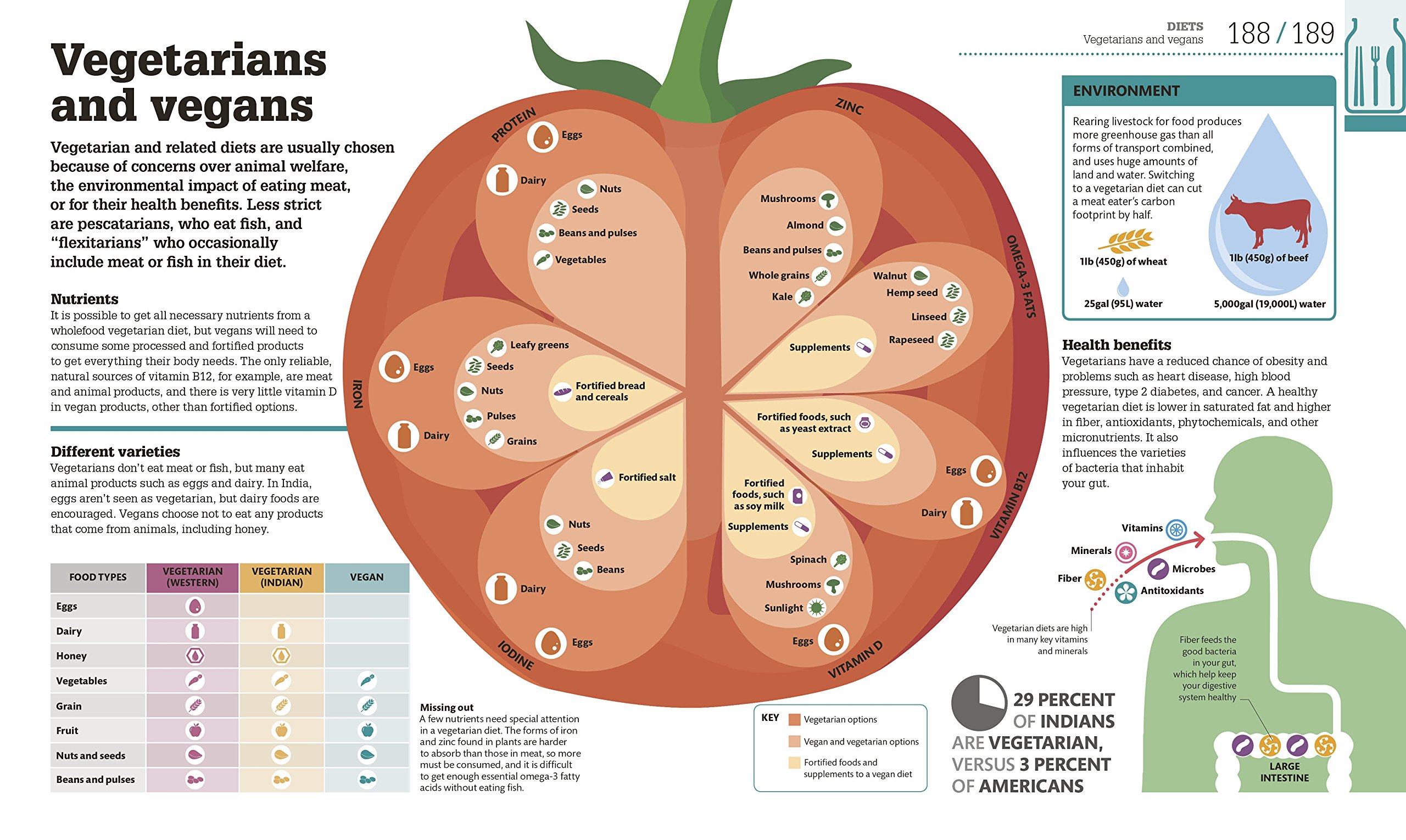 How Food Works: The Facts Visually Explained (How Things Work)