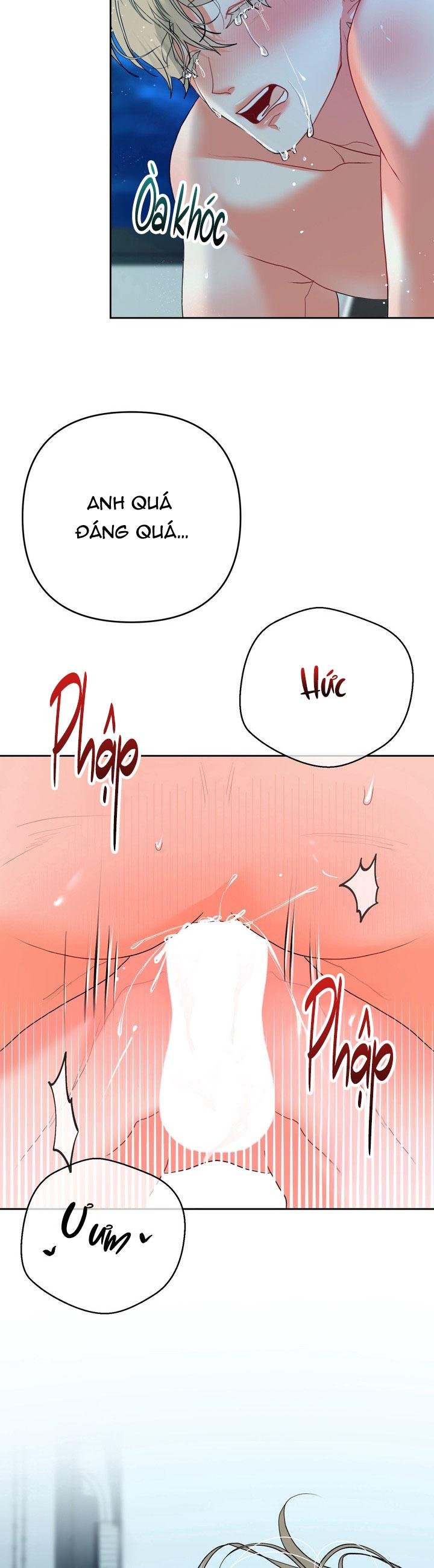 omega của anh trai chapter 12 20