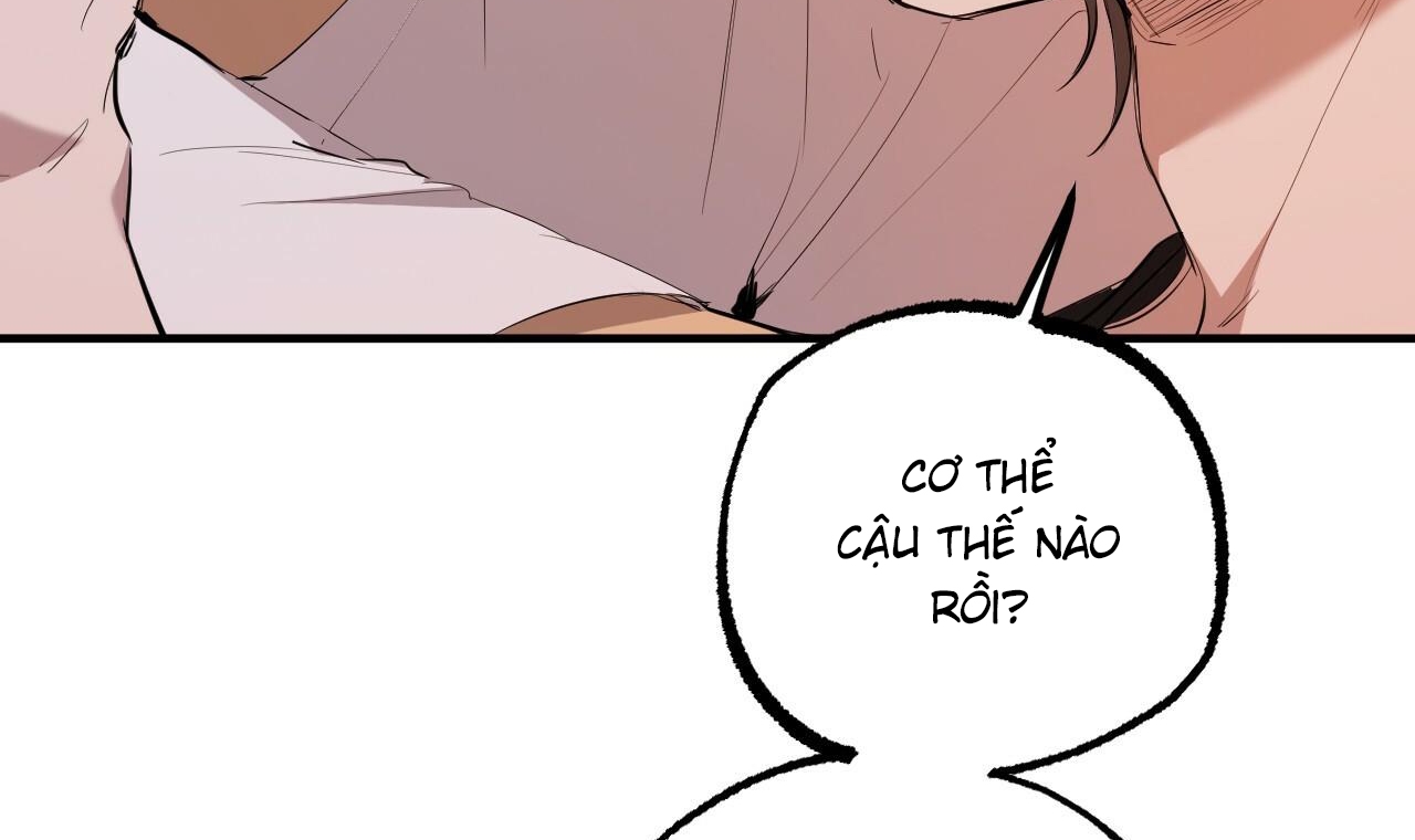 đàn thỏ của habibi chapter 51 56