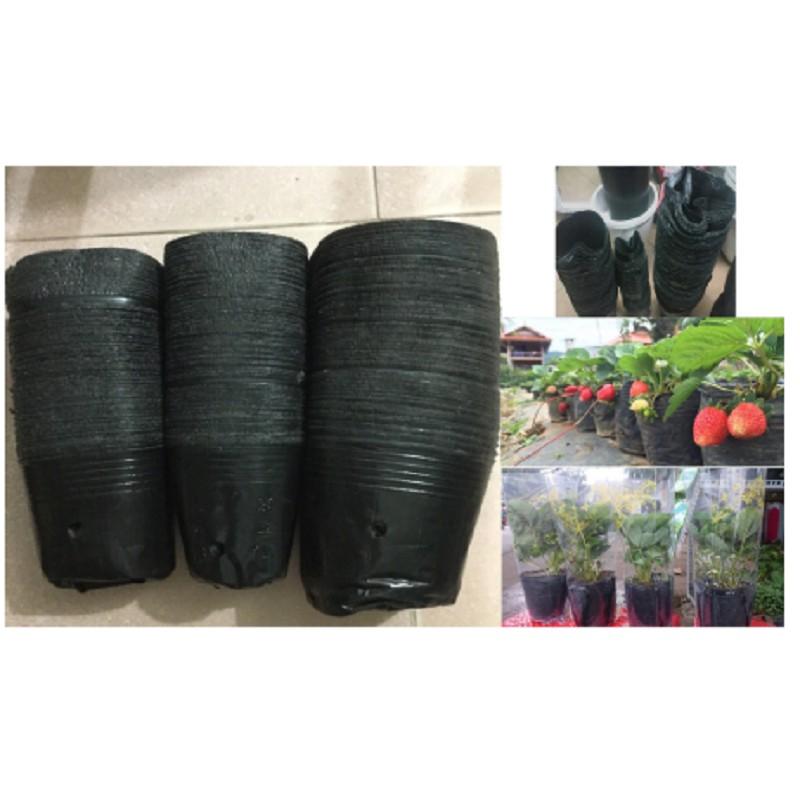 TÚI BẦU ƯƠM CÂY GIỐNG 1KG