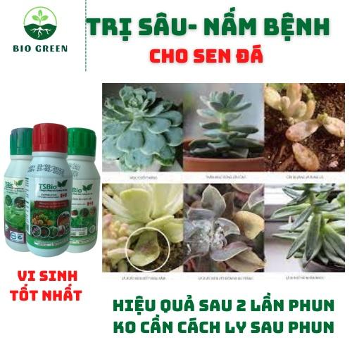 Phân bón cho sen đá,Thuốc trừ diệt sâu nấm bệnh sinh học hữu cơ TSBIO trị đốm đen,rệp sáp,thối thân lá rễ,sâu ăn thân