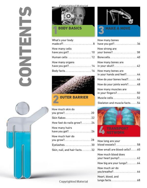 Sách ngoại văn: It Can't Be True! Human Body! : 1,000 Amazing Facts About You