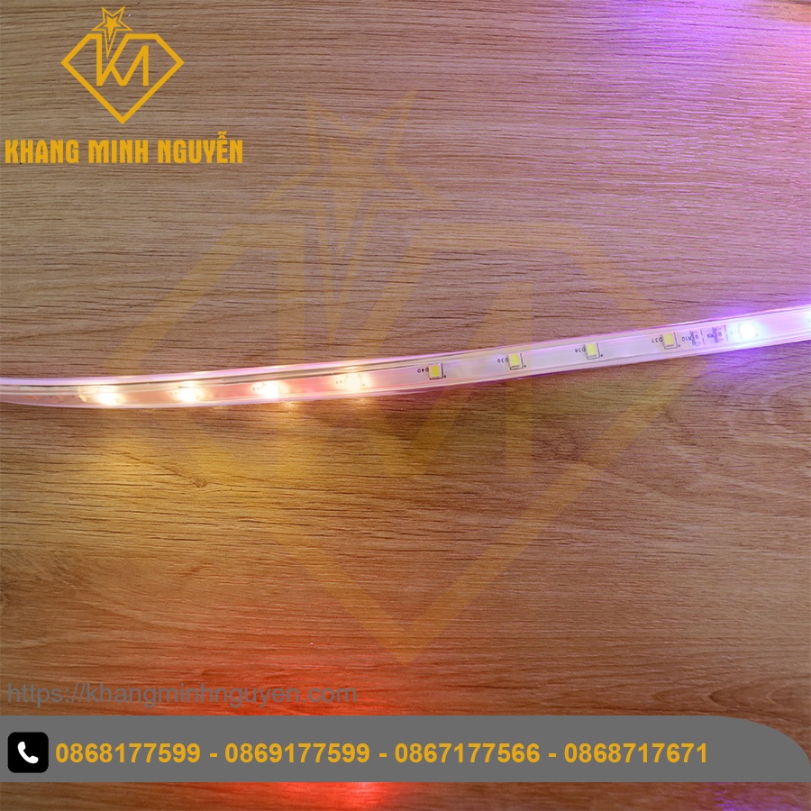 Led dây 220V chớp đuổi nhiều màu, chỉnh được chế độ chớp - bọc chống nước - trang Lễ Tết, quấn thân cây