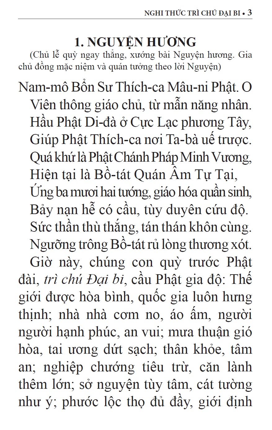 Nghi thức trì Chú Đại Bi, Chú Dược Sư &amp; Niệm Phật A Di Đà