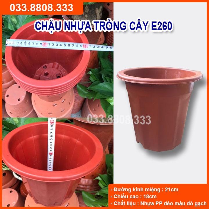 5 Chậu Nhựa Nâu Trồng Cây E260 - Chậu Bền Đẹp