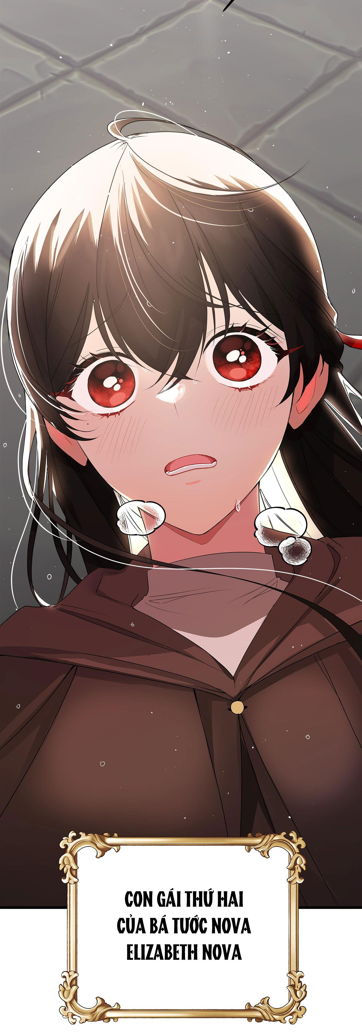 mặt trái của sự thật chapter 1.1 12