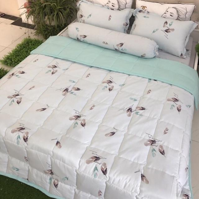 Bộ chăn ga đũi mềm 4 món tặng kèm 1 vỏ gối ôm mẫu mới