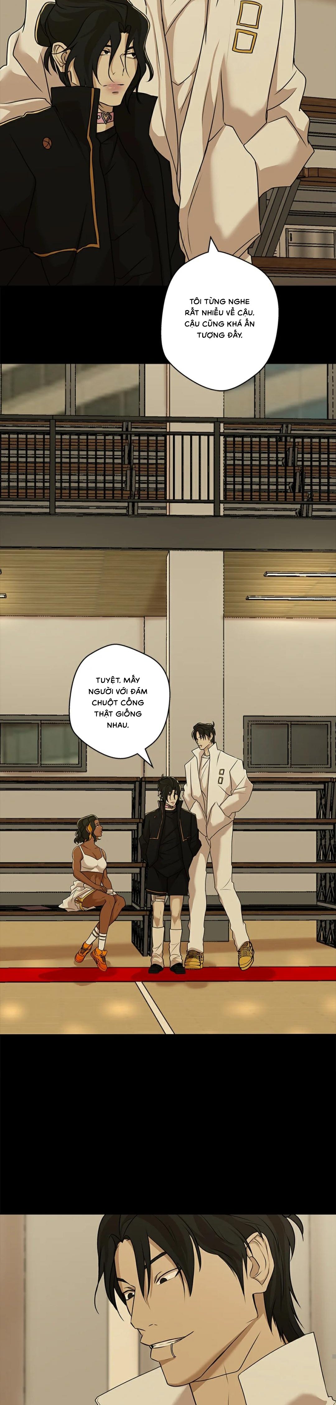 yêu phải kẻ sát nhân bóng rổ chapter 23 17