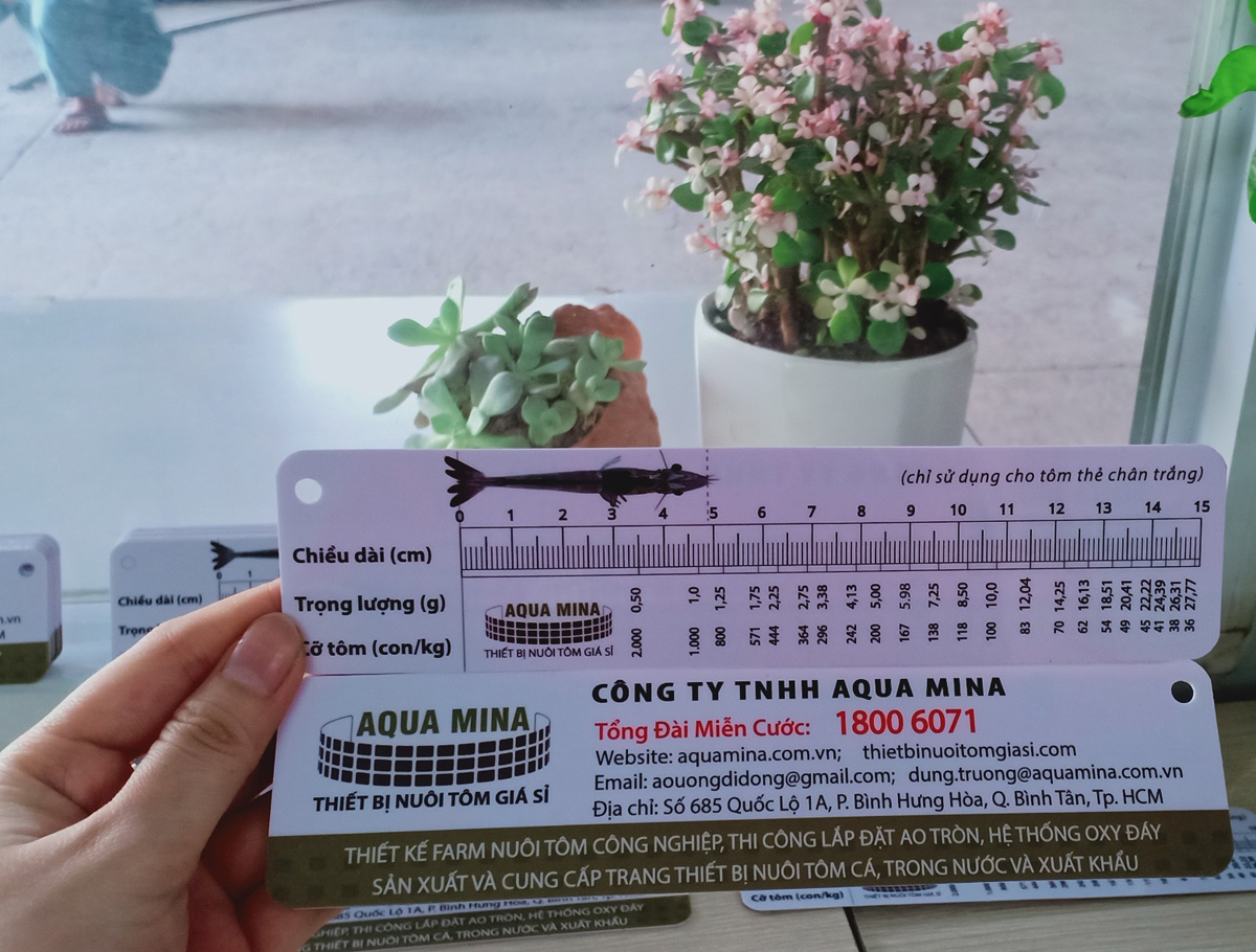2 Cây thước đo tôm thẻ bằng nhựa