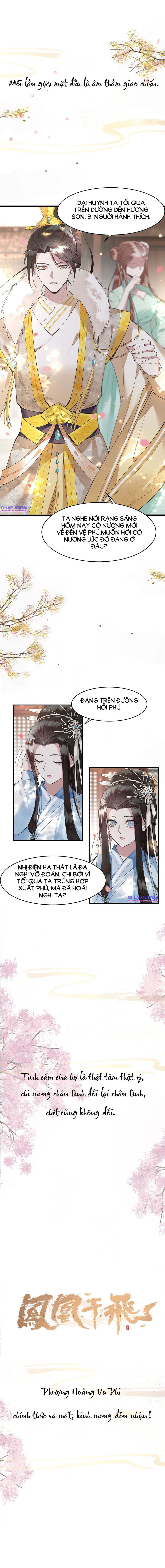 phượng hoàng vu phi chapter 0 4