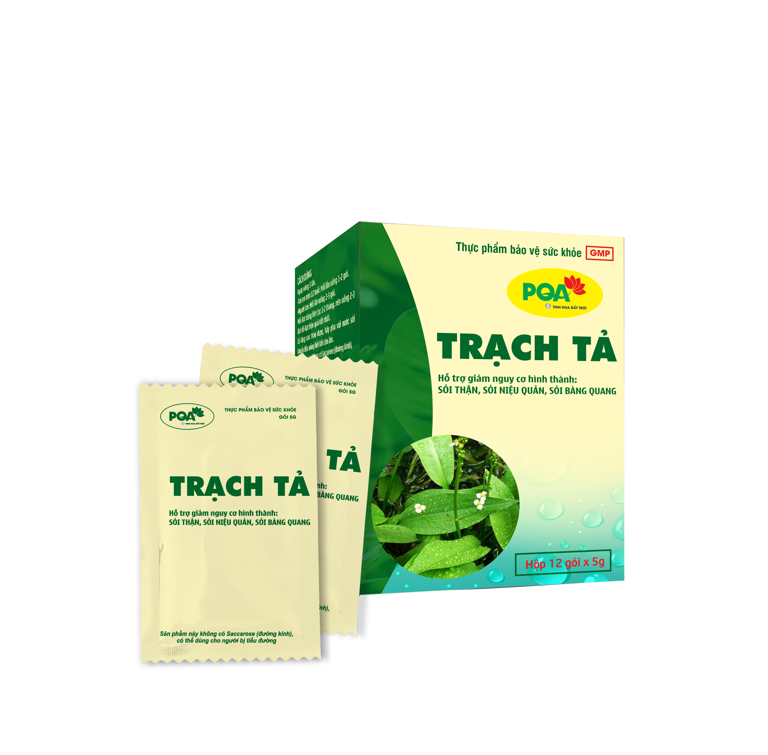 Trạch Tả PQA Giúp Thanh Nhiệt Lợi Niệu, Hỗ Trợ Giảm Nguy Cơ Hình Thành Sỏi Thận Hộp 12 Gói