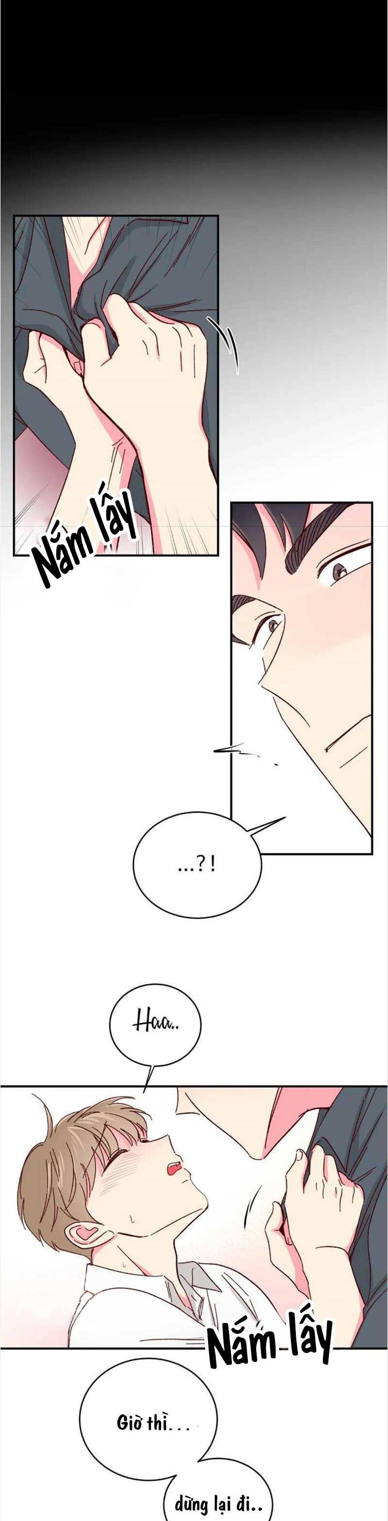 món tráng miệng của sếp tổng chapter 41 15