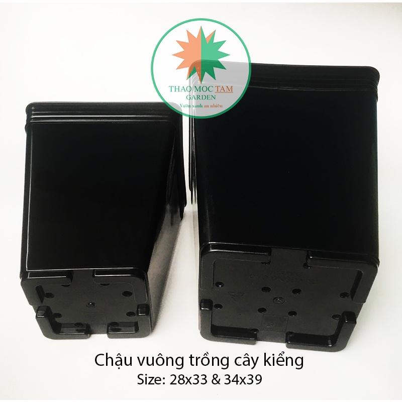 Chậu Vuông Dày 34x39cm Trồng Hoa Hồng, Sung Mỹ, Cây Kiểng – Chất liệu nhựa PP, dẻo dai chất lượng cao