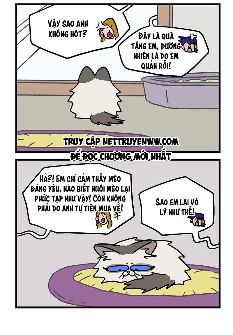 a mãn và mạch trà chapter 47.1 6