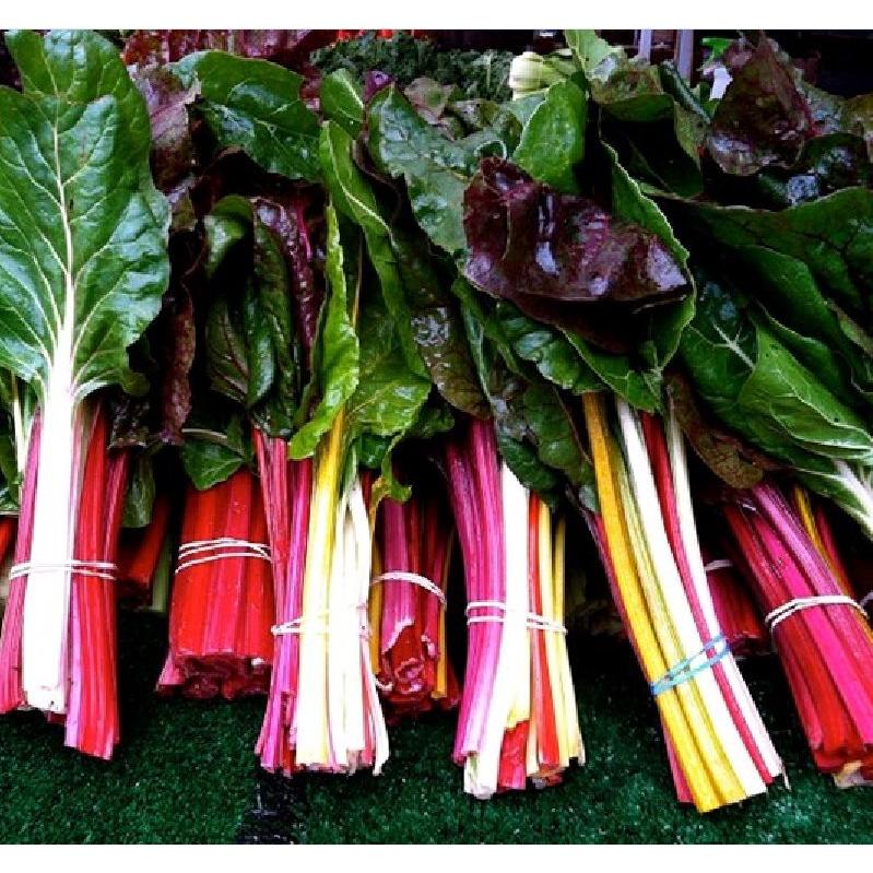 Combo 3 gói Hạt giống Cải Cầu Vồng-gói 2 gram/tặng kèm gói phân bón lót