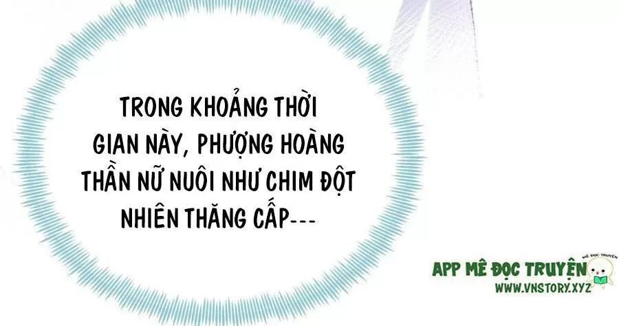 lại bị bệnh chiều chuộng quấn lấy chapter 71 8